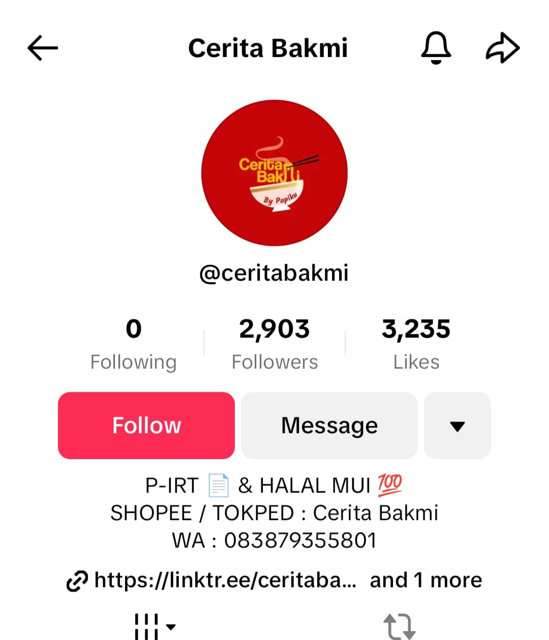 contoh-profile-tiktok-shop