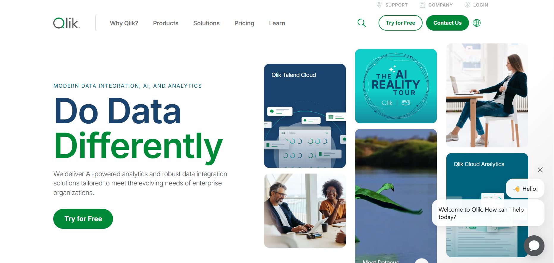 contoh-qlik
